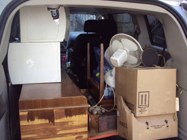 Best Hoarding Cleanup  in Jackson, AL